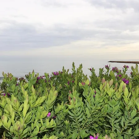Carmen With Sea View Near Alicante *